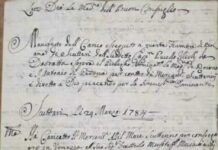 Tregtia e lëkurëve të maces, nga Shkodra në Venedik?!