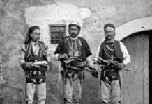 Prejardhja gjenetike e Fisit të Hotit