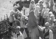 Dasmë në Shqipërinë e Veriut, rreth vitit 1937 – Zadrima (Video)