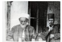 Rezistenca e myftiut të Prizrenit Rrystem Shporta kundër pushtetit serb gjatëve viteve 1917-1924