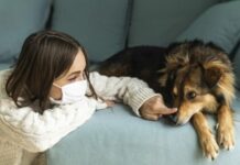 A mund të sëmurem nga kafsha ime shtëpiake?