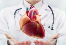 Ja pse zemra nuk preket pothuajse kurrë nga kanceri