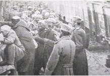 “Shqiptarët duhet të zhduken si popull. Atyre duhet t’u pamundësohet jeta. Autoritetet tona (serbe) ua morrën tokat arnautëve”