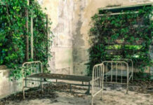 Ishulli i “mallkuar” ku mijëra njerëz vdiqën para se të bëhej spital psikiatrik