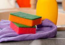 Amvisat po fusin sfungjerin e enëve në ngrirje, por pse?!