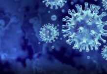 Këta janë viruset më të rrezikshëm që kërcënojnë njerëzimin