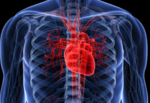 Çfarë ndodh në trup nëse agjëroni 36 orë