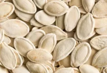 Pse s’duhet ta teproni me farat e kungullit