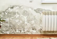 Sëmundjet që shkakton lagështira në shtëpi