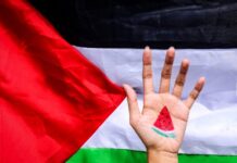 Si u bë shalqiri simbol i Palestinës?