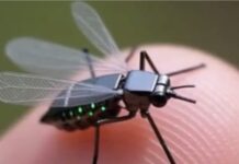 Droni sa një insekt, Kina sjell zbulimin që sfidon syrin njerëzor