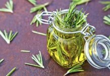 Kjo bimë forcon imunitetin, lehtëson reumatizmin dhe mbron trurin