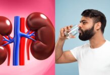 Vetëm uji nuk mjafton: Pse gurët në veshka rikthehen pavarësisht këshillave të mjekëve