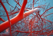 Metoda ideale për të larguar yndyrën në gjak