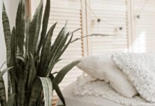 Lulja që këshillohet nga ekspertët të vendoset në dhomën e gjumit