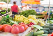 A janë pemë apo perime domatja dhe shalqiri