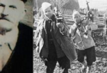 Migrimet dhe shkatërrimi demografik i Bihorit (1912–1990)