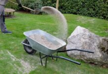 Një grusht rërë mund ta shpëtojë kopshtin?! Habit studimi…