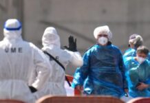 Rritet në 13 numri i rasteve me Hantavirus, ja çfarë thotë OBSH