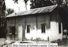 Kolonët serbo-malazez të vendosur nga Serbia në tokat dhe shtëpit e fshatarëve të Sllatinës, Zllatarit dhe Mirosalës përmes Projektit famëkeq të “Reformës Agrare”