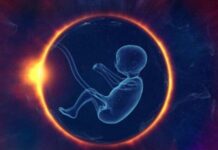 Si ndikojnë fibromat e mitrës në fertilitet?