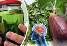 Gjethet ‘magjike’ të fikut, ja si mund t’i përdorni kundër diabetit ose për heqjen e kallove!