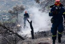 Zjarret godasin Kretën e Greqisë, mbi 220 zjarrfikës në luftë me flakët, mijëra banorë dhe turistë largohen nga ishulli