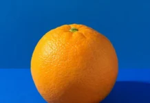 A mund të konsumojnë fruta personat me diabet? Ekspertët sqarojnë mitet dhe japin rekomandimet