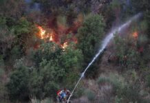 Paralajmërimi nga IGJEO: Rrezik i lartë për zjarre në këto zona