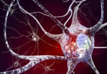 Sëmundja e Parkinsonit: Këto janë shenjat e hershme që shfaqen deri në 10 vjet para diagnozës