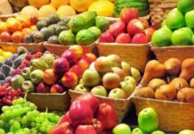 Vapë dhe temperatura të larta, cilat fruta ju ndihmojnë të freskoheni