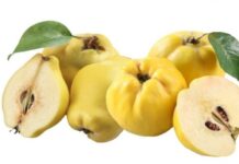 Fruta e stinës, çfarë duhet të dini për ftoin?