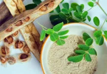 Kjo është bimë që ngadalëson plakjen dhe pastron në mënyrë perfekte trupin